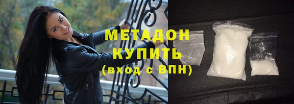 прущие грибы Абаза