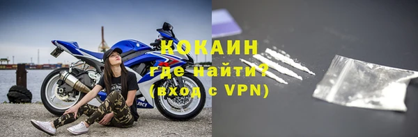 прущие грибы Абаза